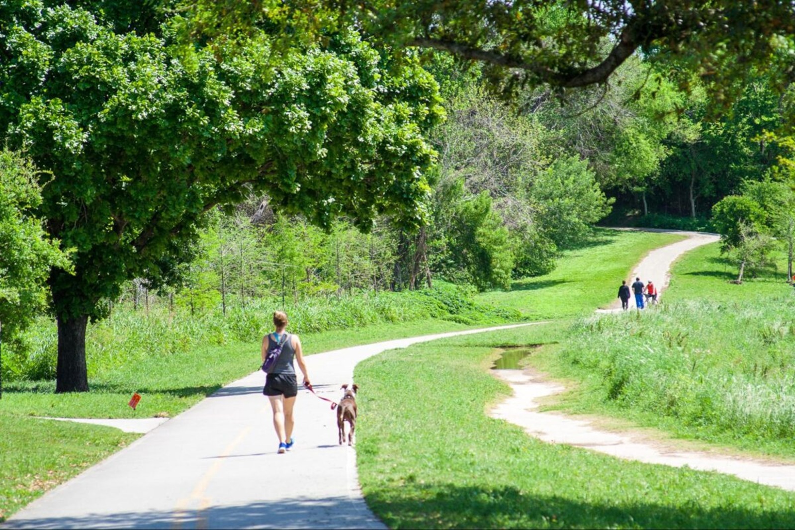 a girl with a dog walking in a park